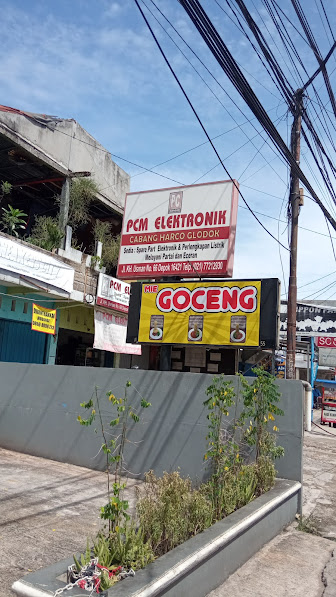 PCM Elektronik