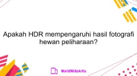 Apakah HDR mempengaruhi hasil fotografi hewan peliharaan?
