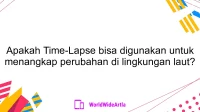 Apakah Time-Lapse bisa digunakan untuk menangkap perubahan di lingkungan laut?