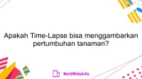 Apakah Time-Lapse bisa menggambarkan pertumbuhan tanaman?