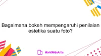 Bagaimana bokeh mempengaruhi penilaian estetika suatu foto?