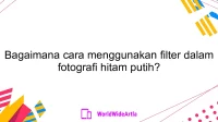 Bagaimana cara menggunakan filter dalam fotografi hitam putih?